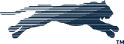 HCA